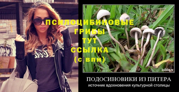 соль ск Алексеевка