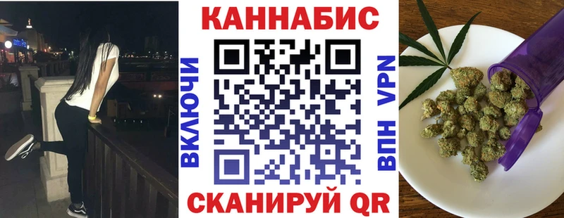 наркотики  Ладушкин  Канабис сатива 